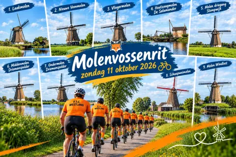 Molenvossenrit door Hollands Windmolenland