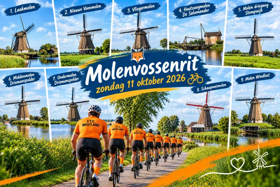 Molenvossenrit door Hollands Windmolenland